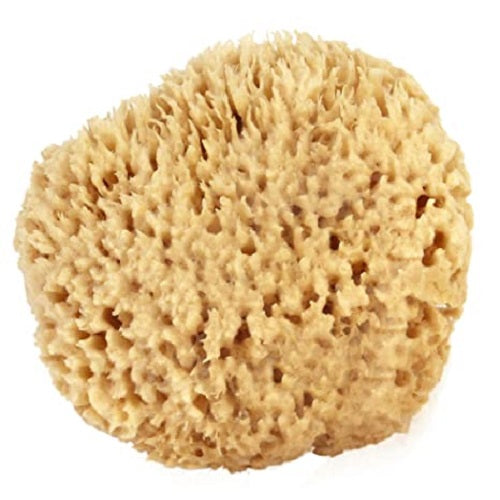 Key West Prime Sea Wool Sponge - 6 inch
