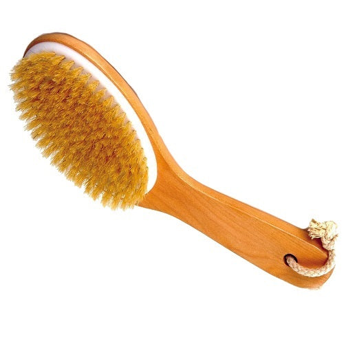 Handled Body Brush with Natural Bristle